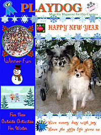 winter2012 Playdog