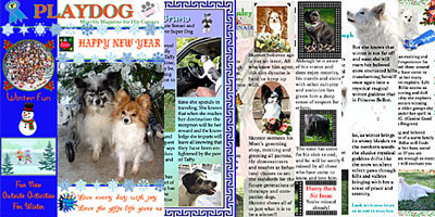 Playdog Magazine