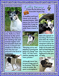 Taffy's Page