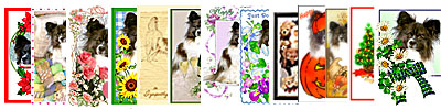 Card Review